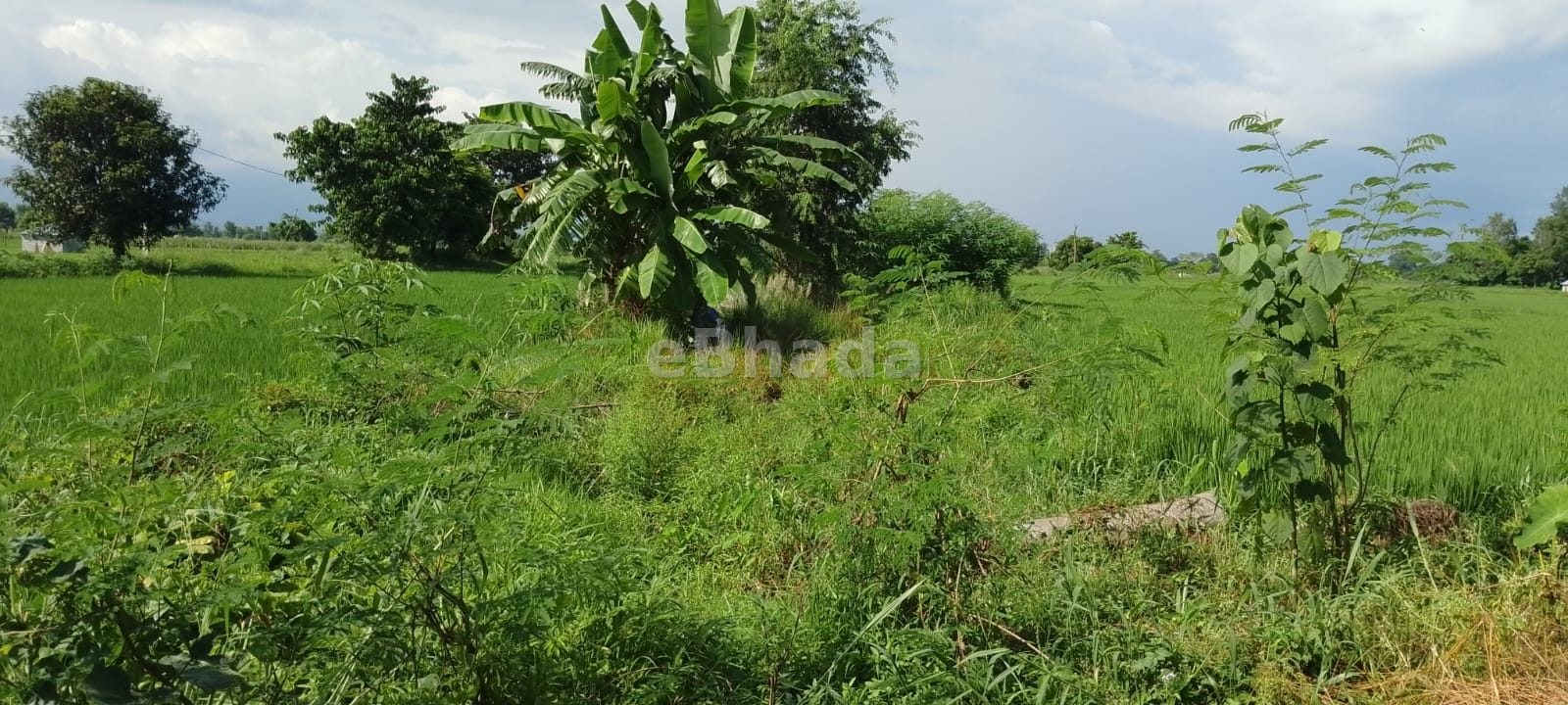 Land for sale at chitwan