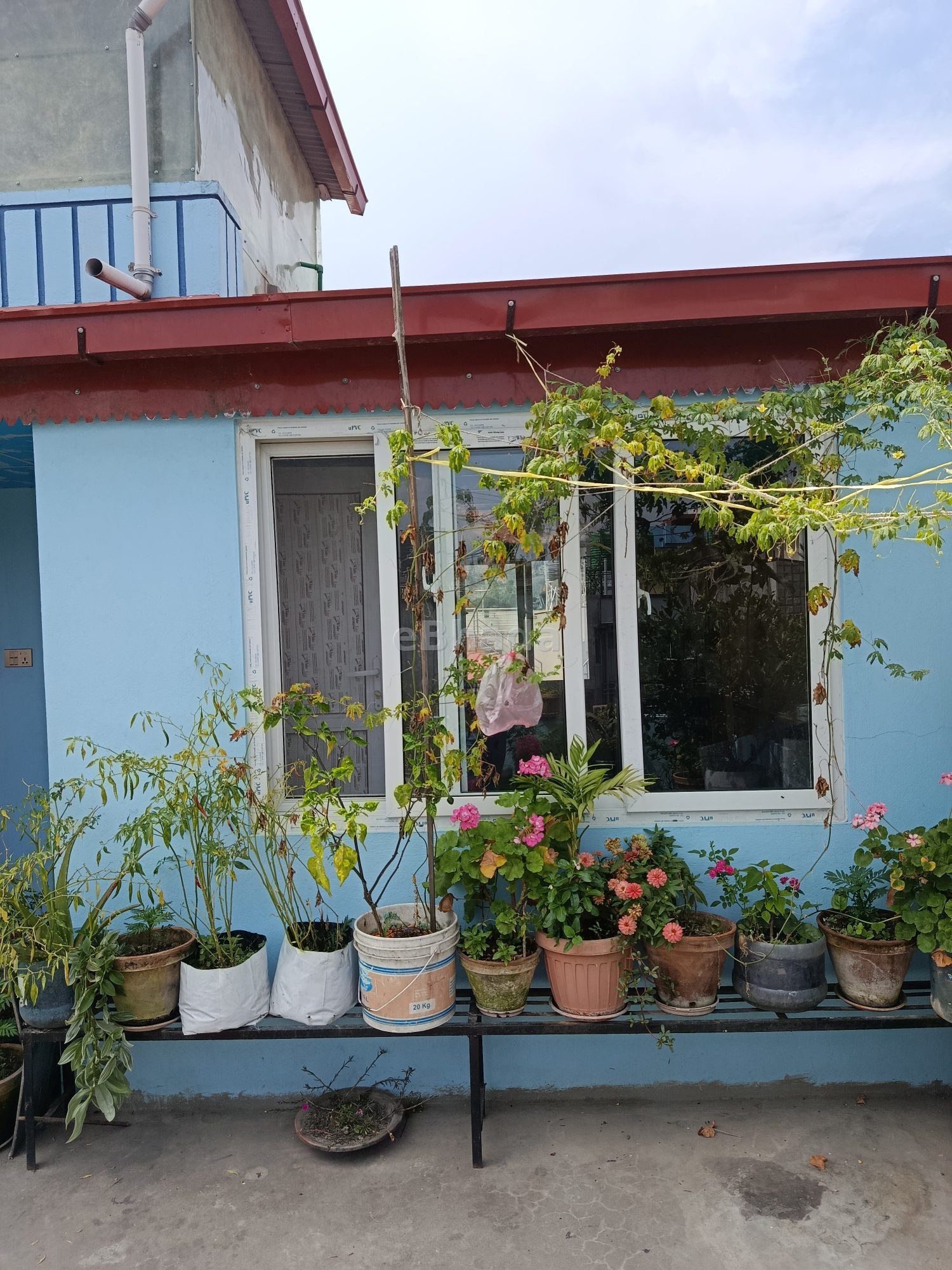 1bk flat at bafal