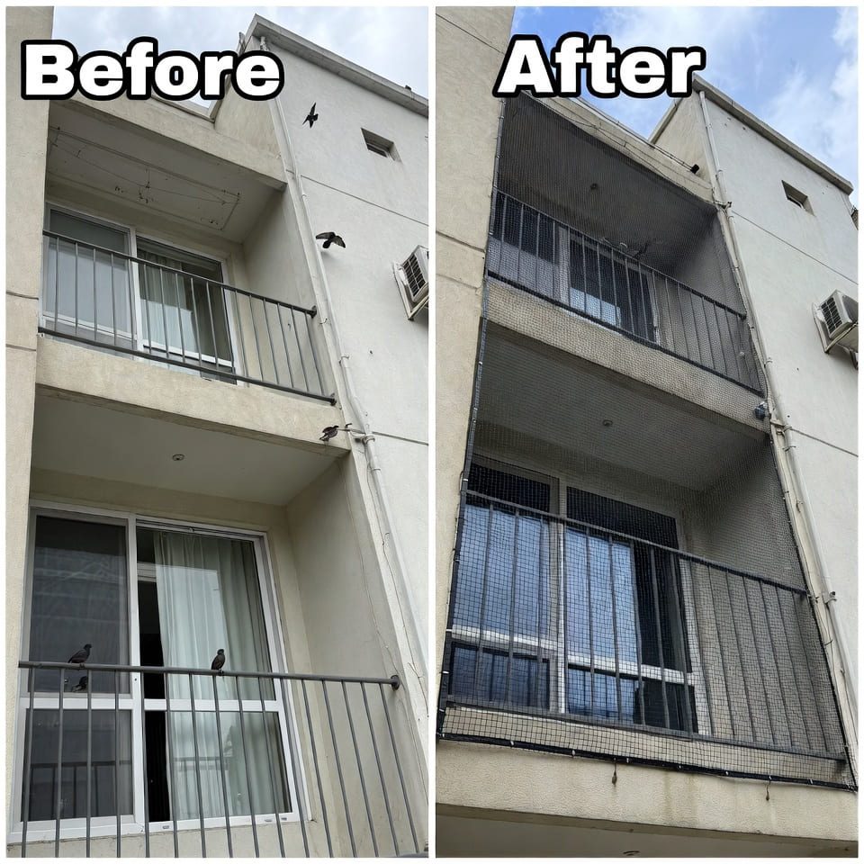 Pigeon Bird Net Installation Service